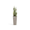 Ecopots Rotterdam High - vaso quadrato alto da interno/esterno