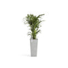 Ecopots Rotterdam High - vaso quadrato alto da interno/esterno